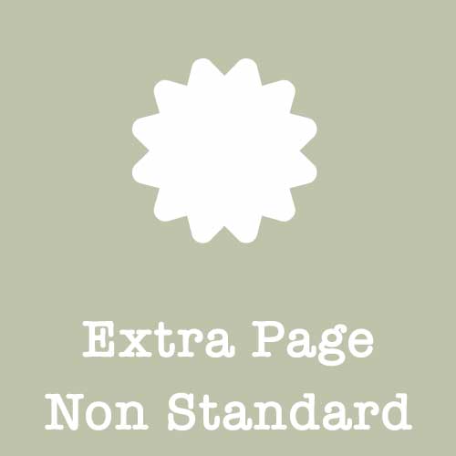 Extras-Non-Standard-Page