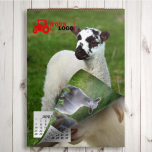 Wall Calendars A3 Luxury Double Sided